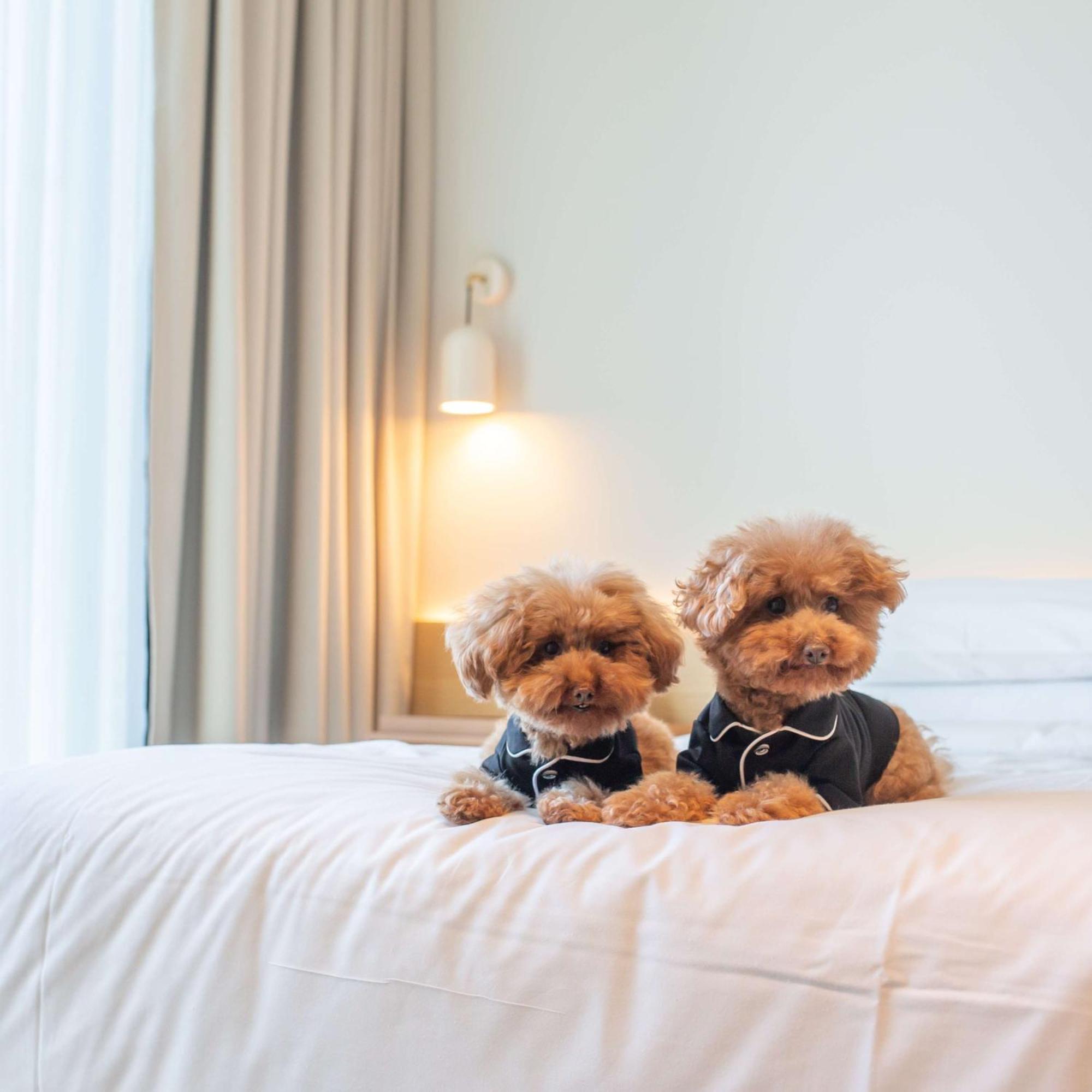 Hyatt Centric Hotel